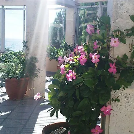 Hipocrates Curhotel Отель