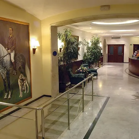 Отель Hipocrates Curhotel