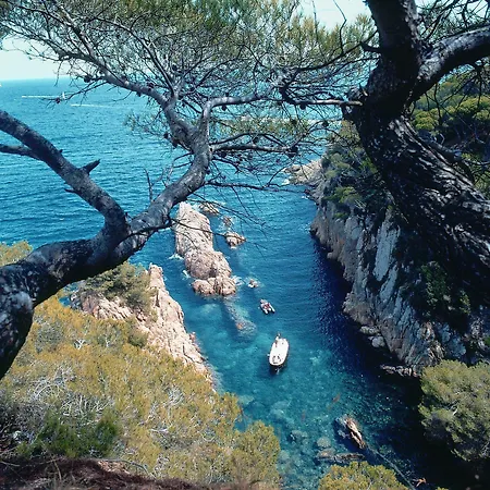 Hotel Hipocrates Curhotel Sant Feliu de Guíxols